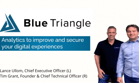 Blue Triangle Logo